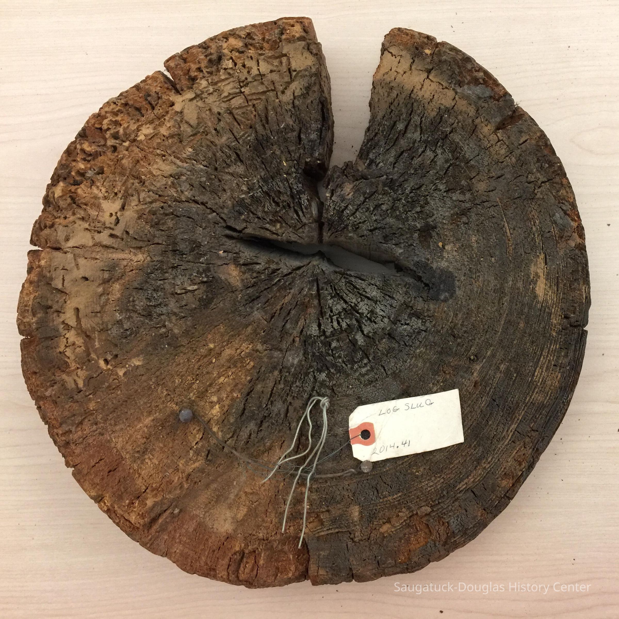 Log dollar stamped TD and R picture number 1
