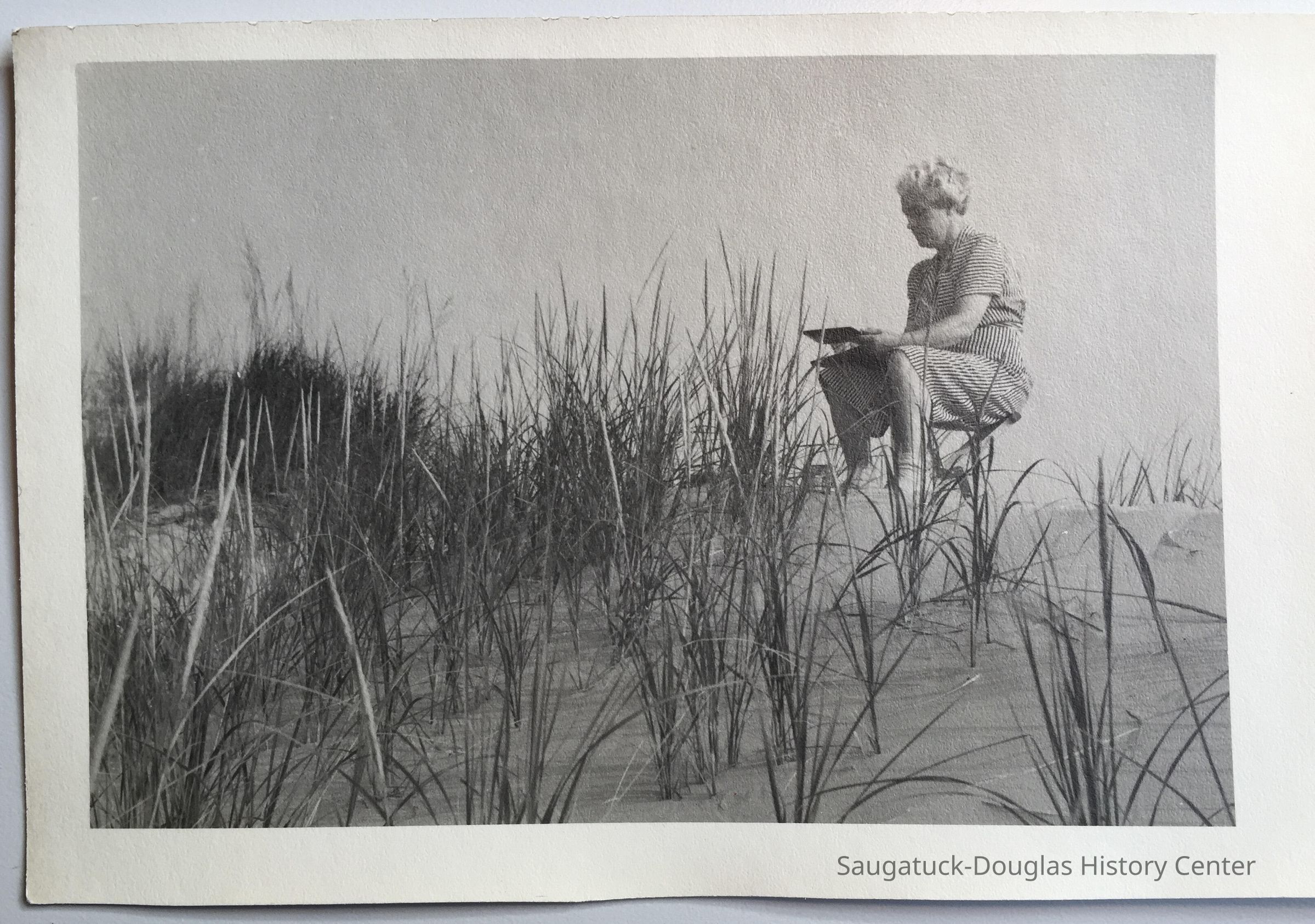 Artist and dunegrass picture number 1