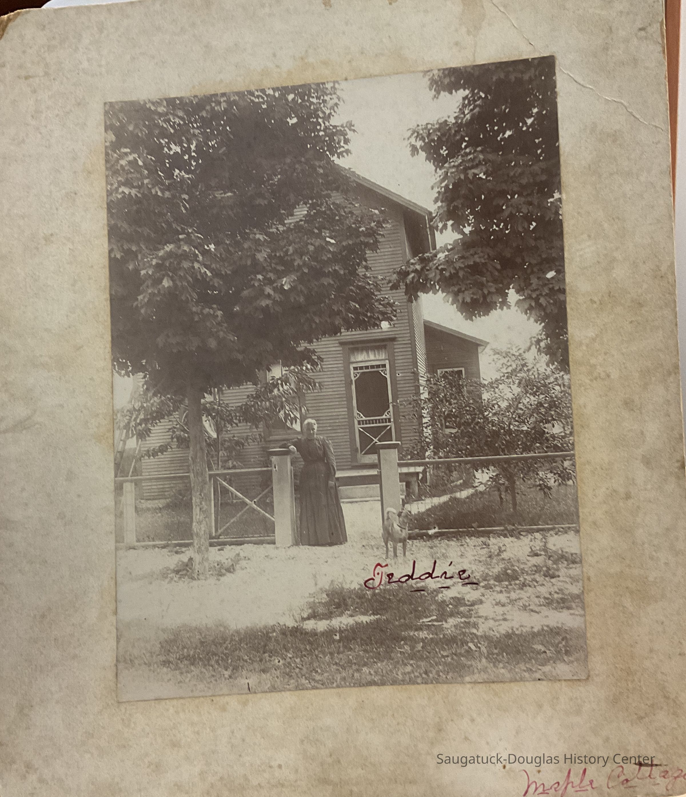 Maple Cottage picture number 1