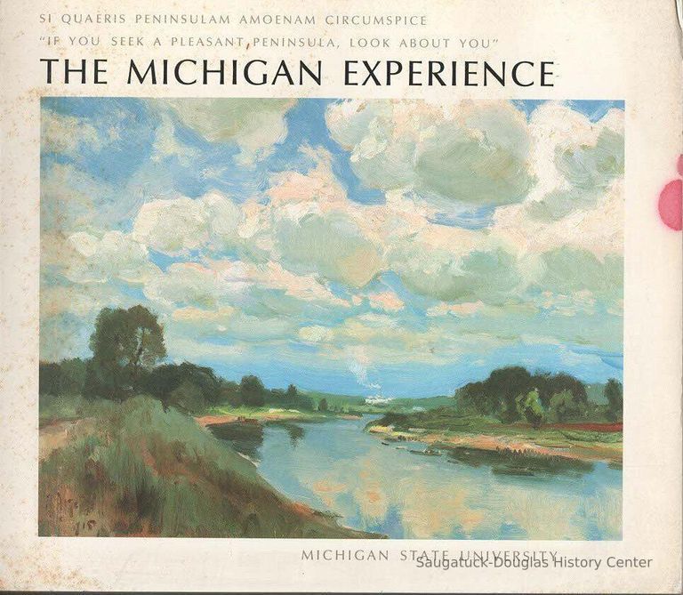          The Michigan Experience
   