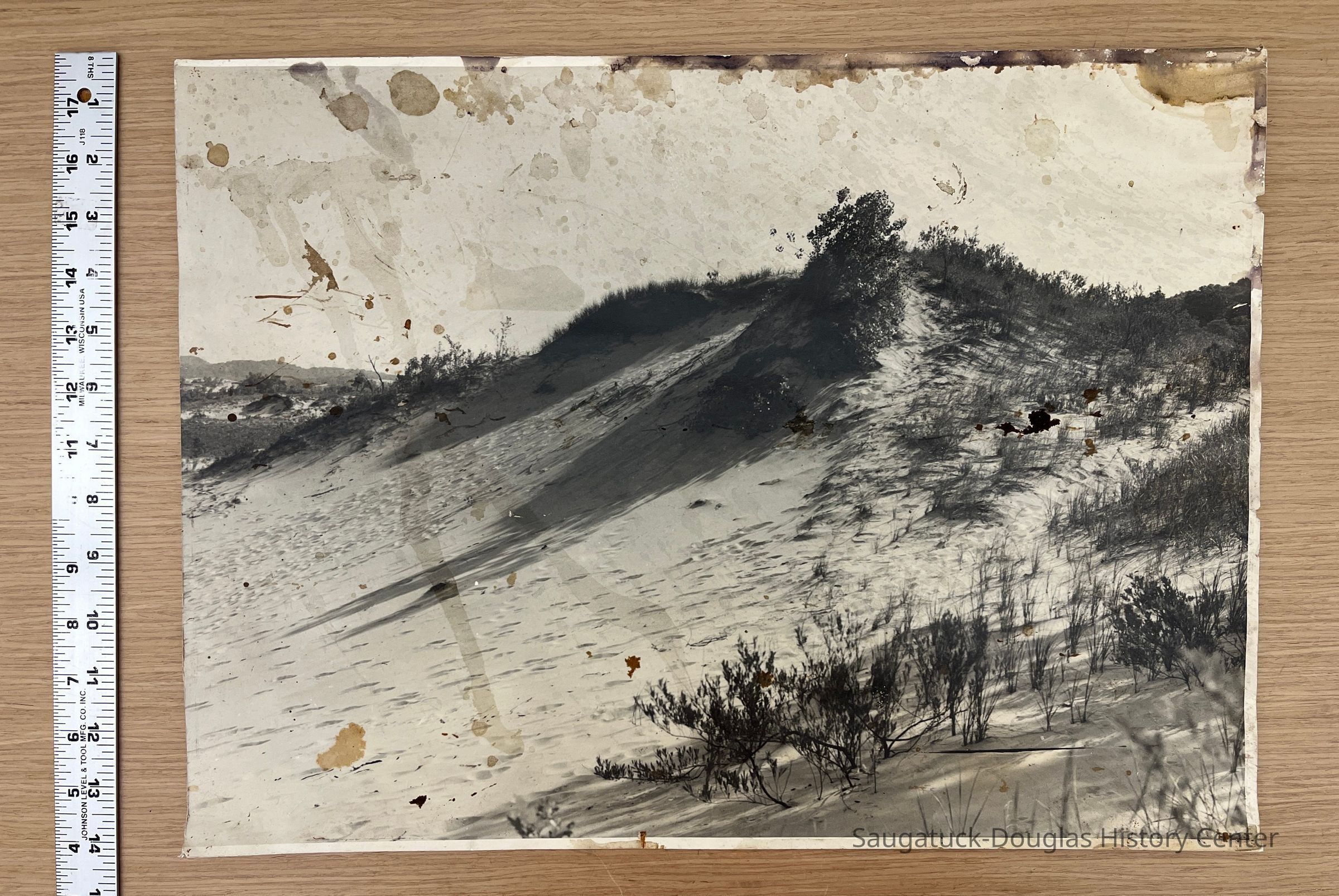 Saugatuck Dunes picture number 1