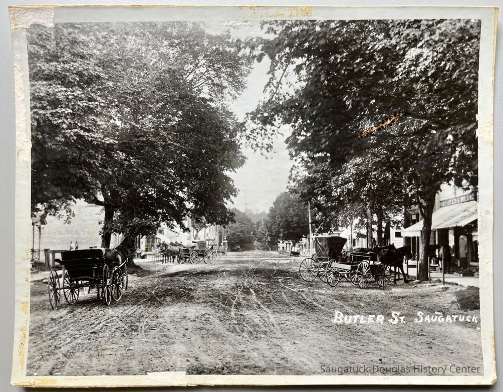          Butler Street unpaved with horses picture number 1
   