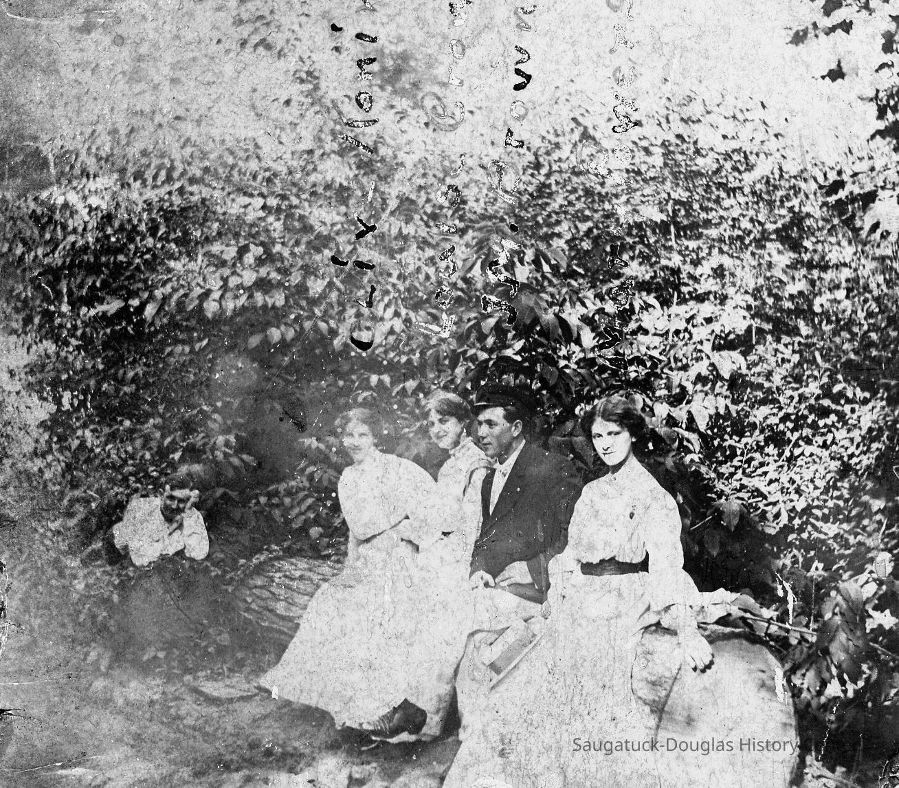Mary Powers on a log picture number 1