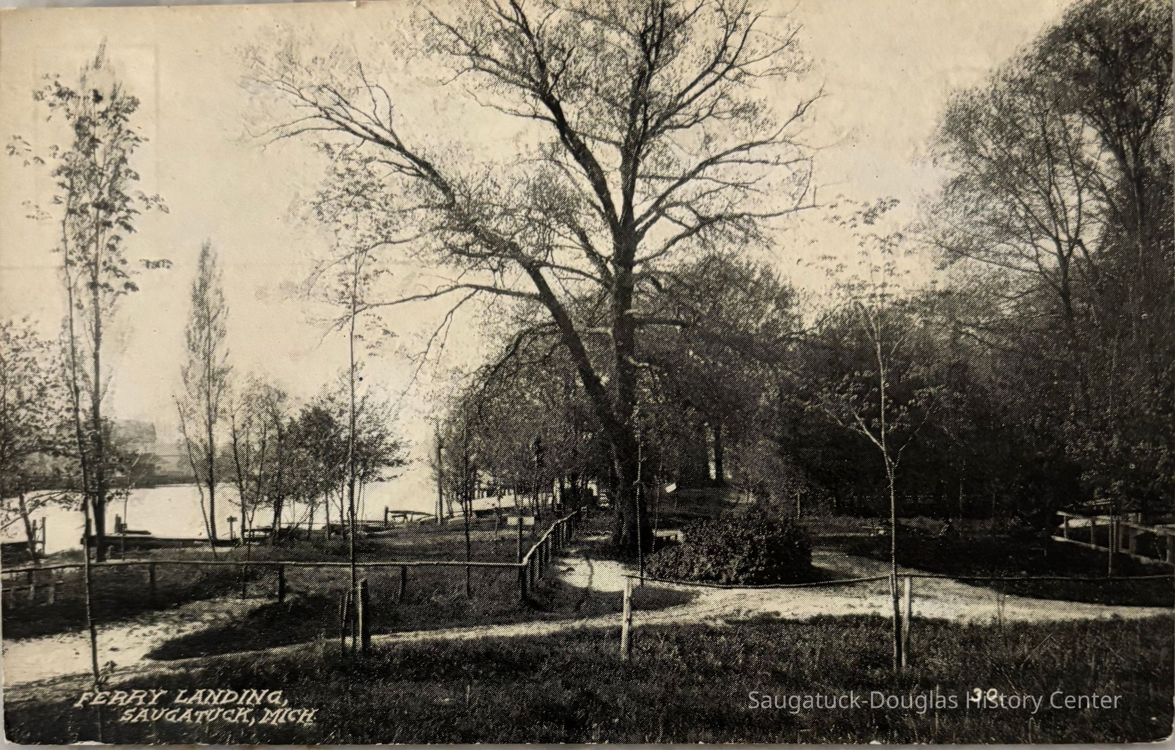          Ferry Landing Saugatuck Michigan 30 picture number 1
   