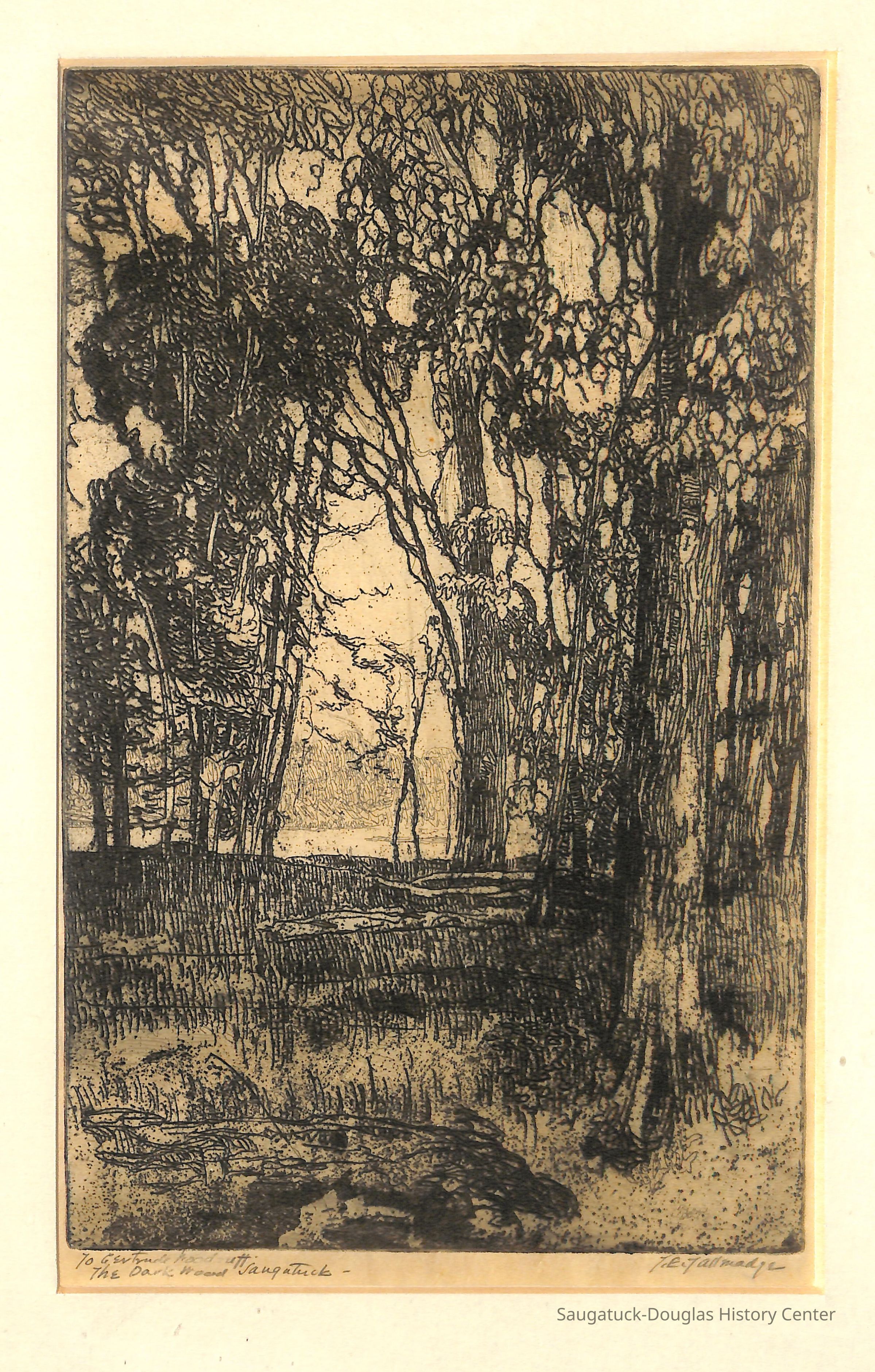 Print of a wooded scene in Saugatuck