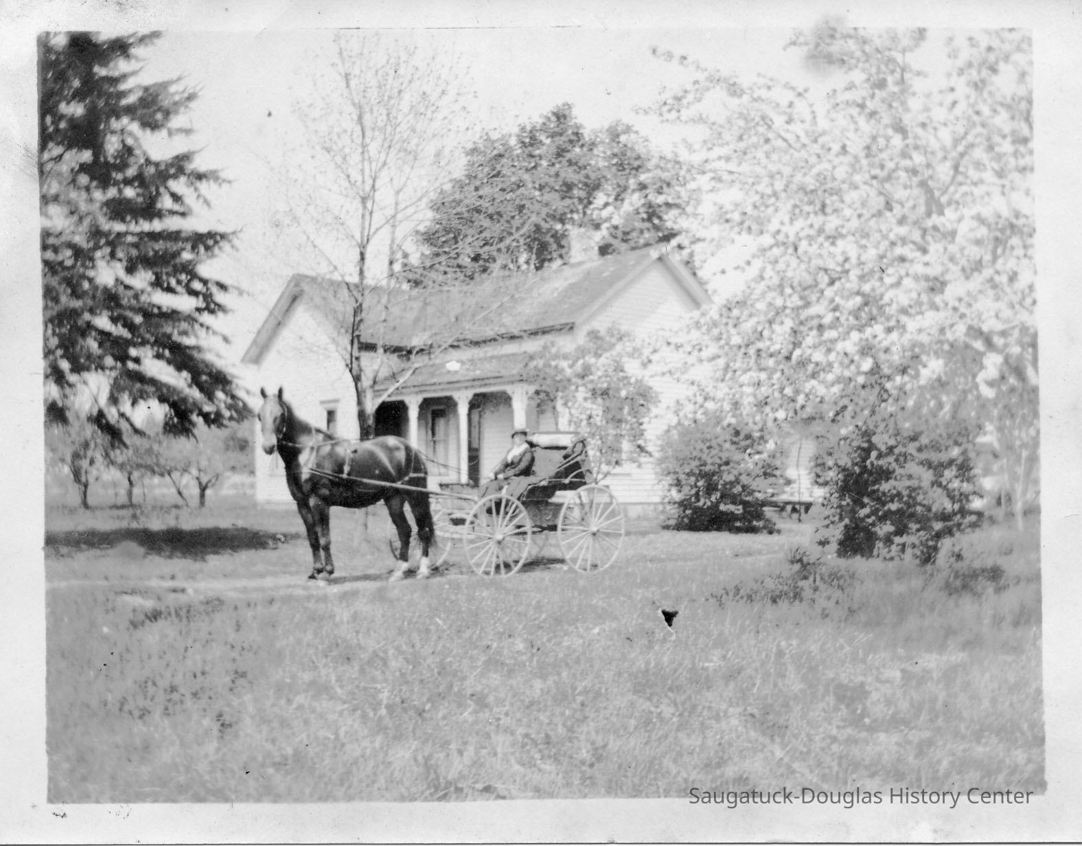          89-1-156_Newnham_farm_on_Maple_St..jpg 270KB
   
