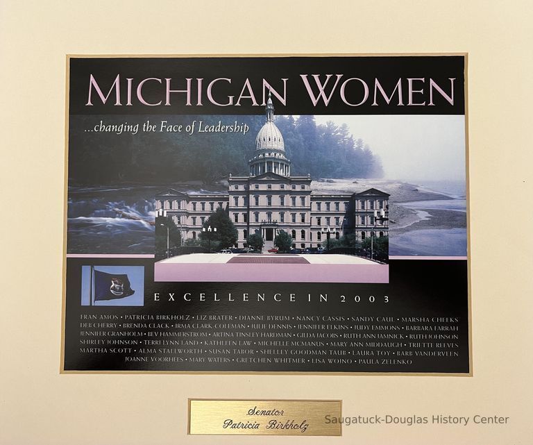          A. Michigan Women Excellence in 2003
   