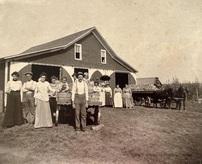          William Wark Farm Peach Picking 1902 picture number 1
   