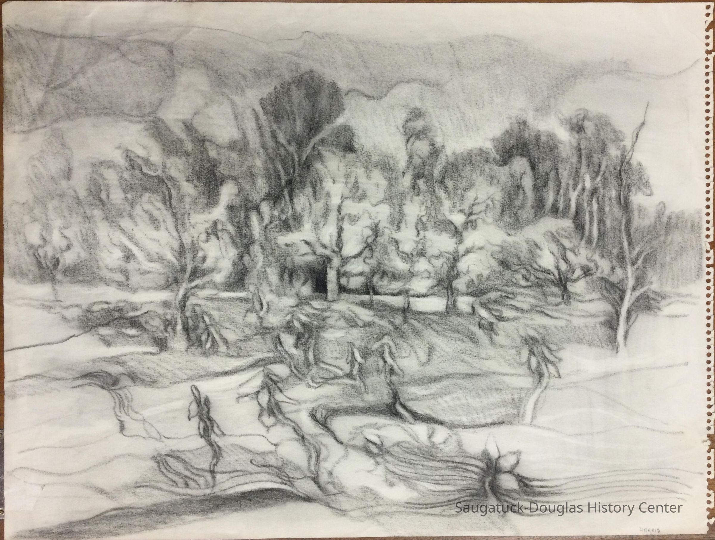 Abstract Forest Scene picture number 1