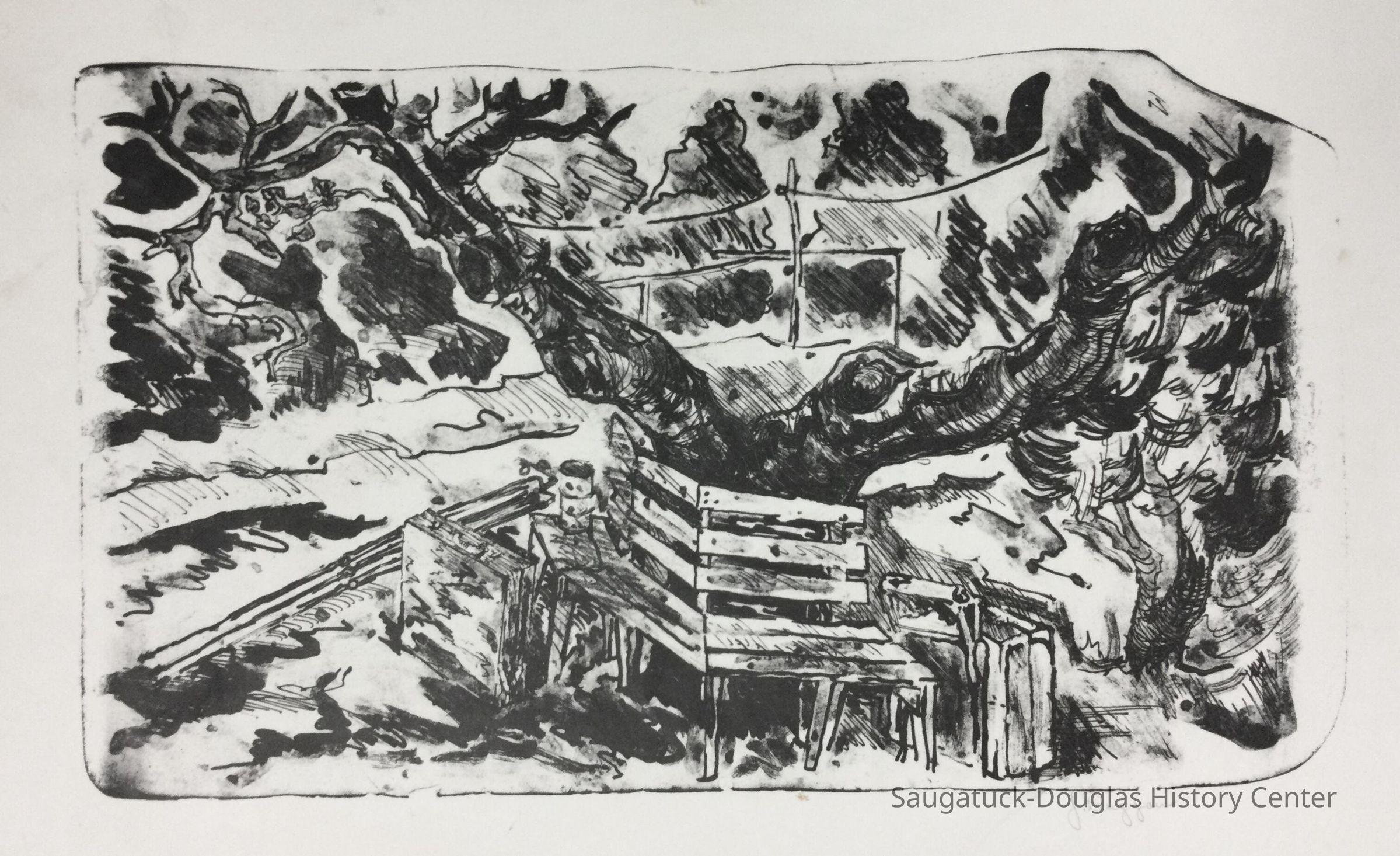          Scene at OxBow picture number 1
   