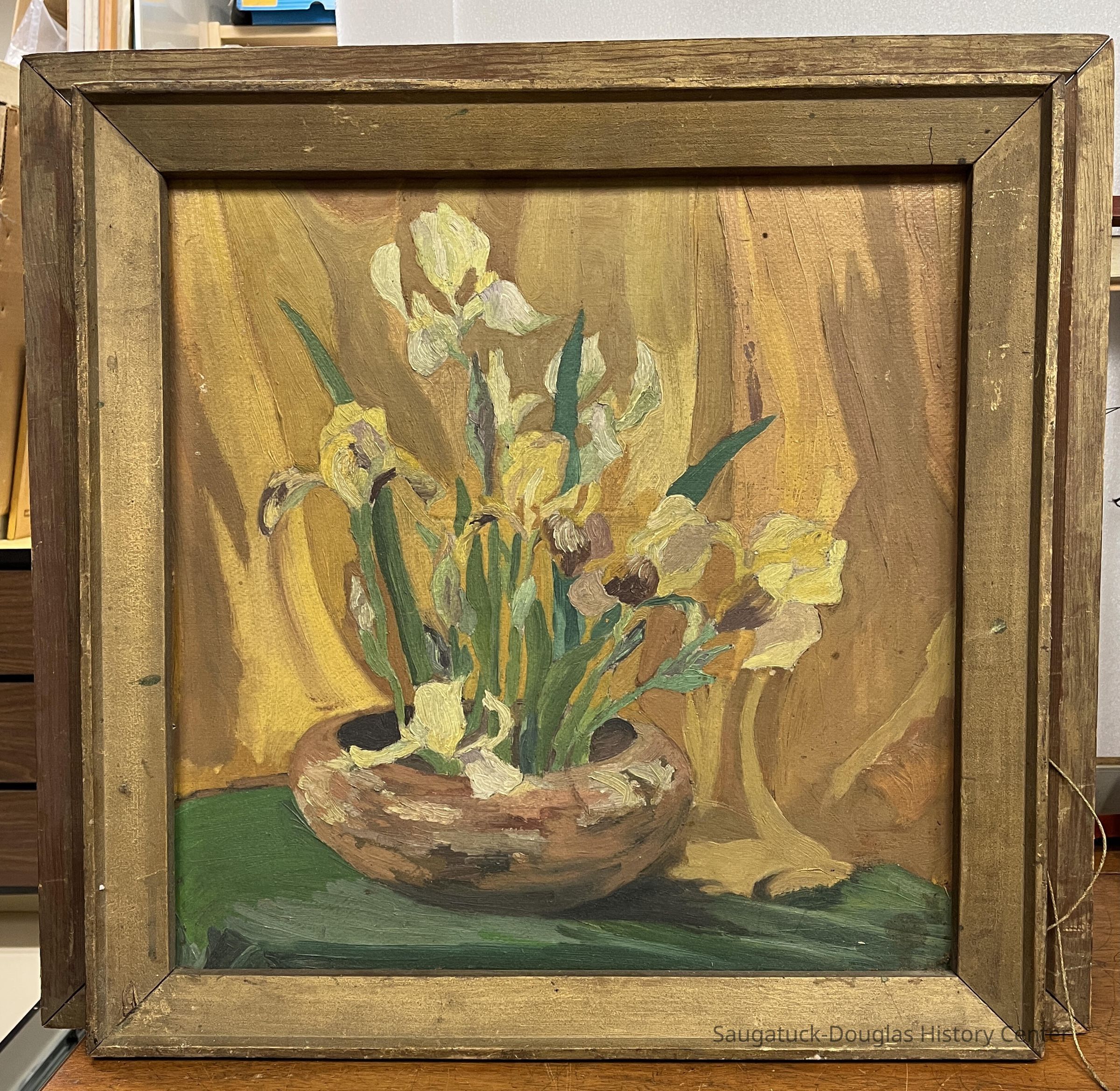          yellow iris
   