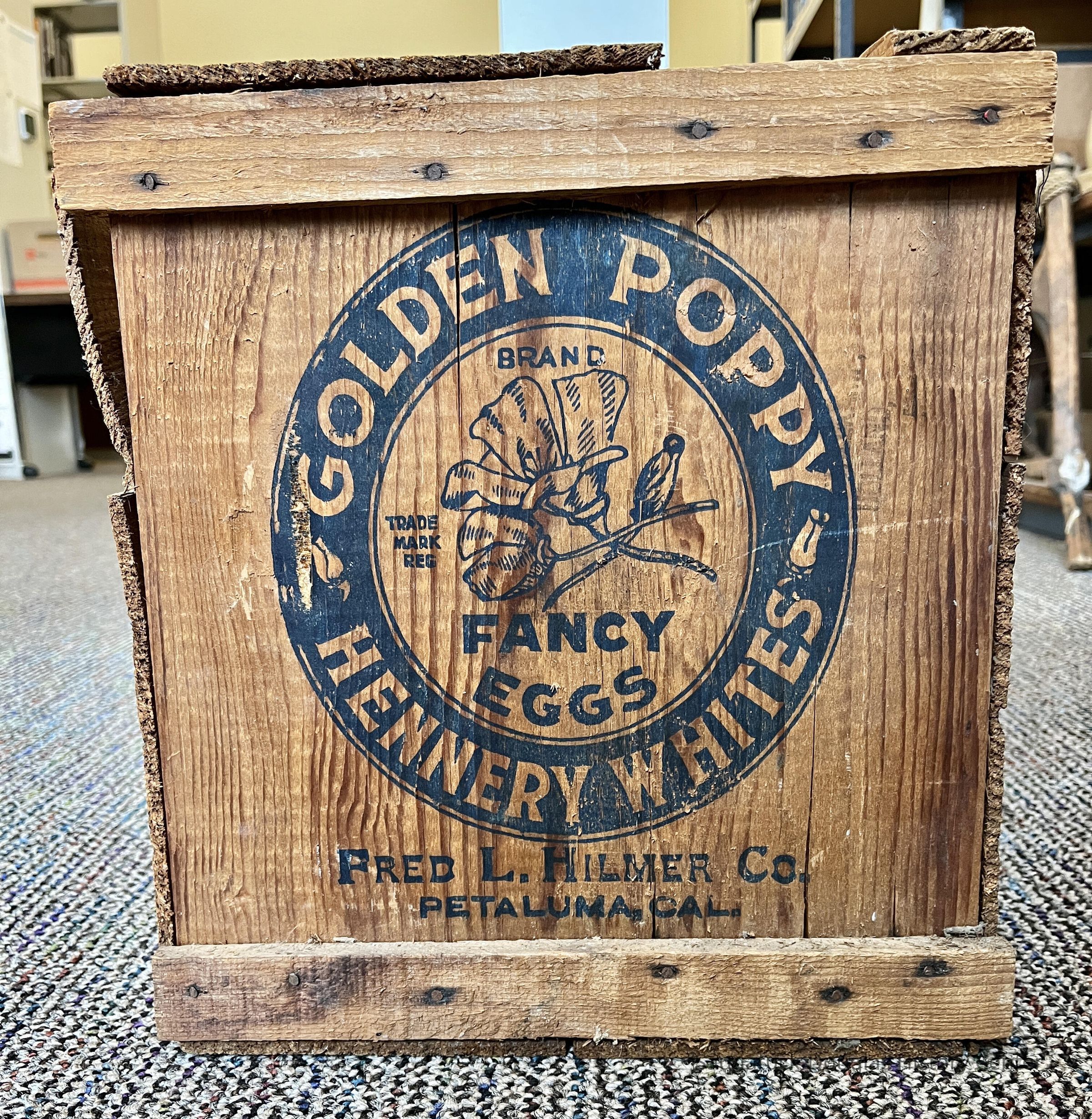          Egg Crate picture number 1
   