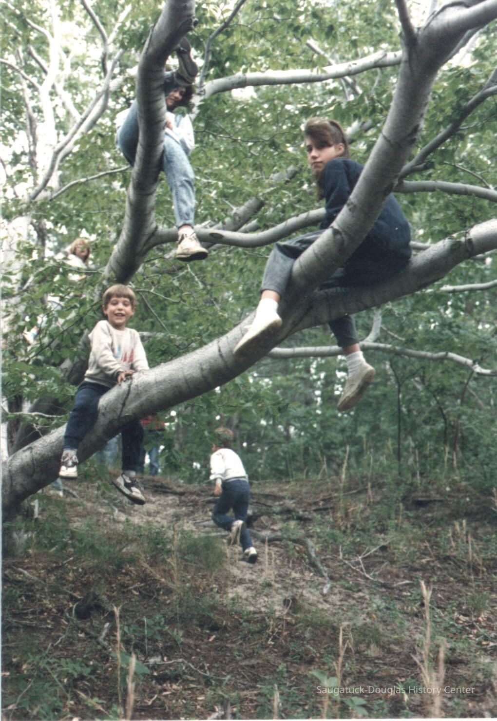 Games.TreeClimbing.FishtownTrail.Eddy.jpg 490KB