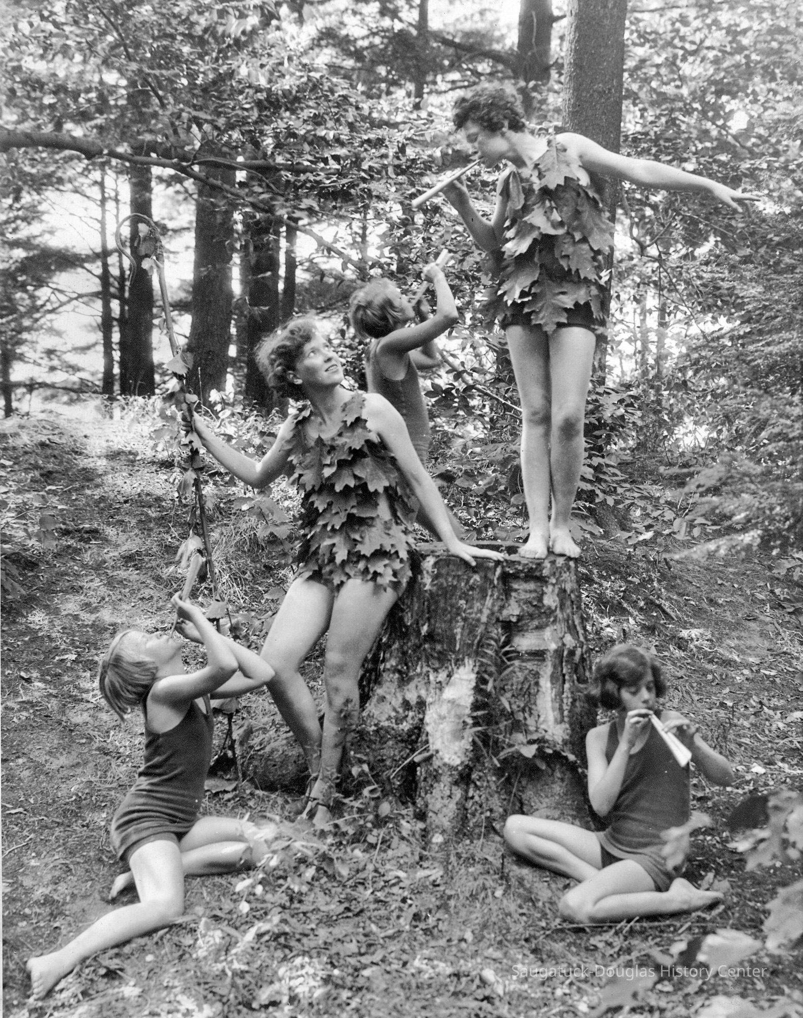          Leaf nymphs full.jpg 1.3MB
   