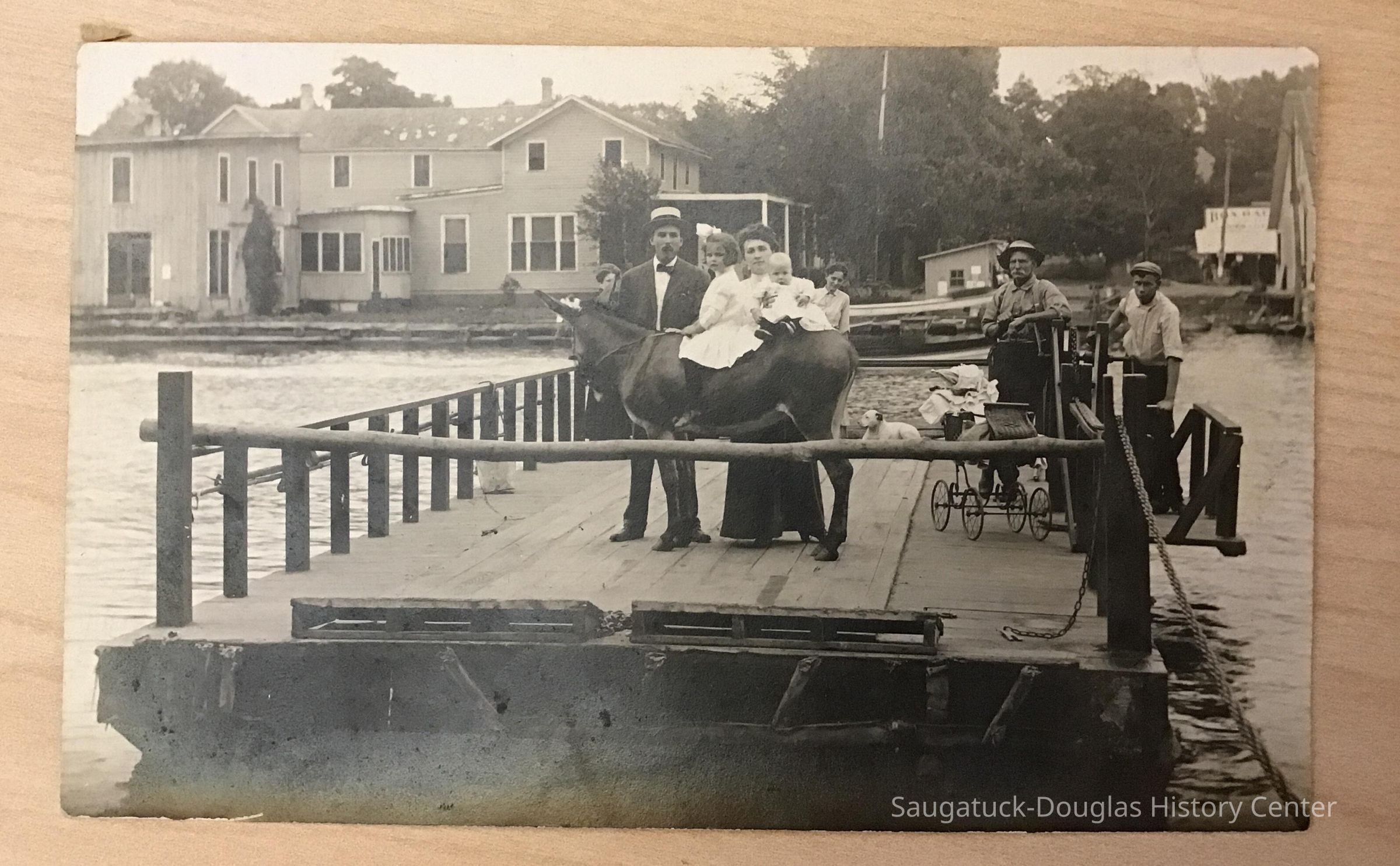 Dynamite and family on Chain Ferry picture number 1
