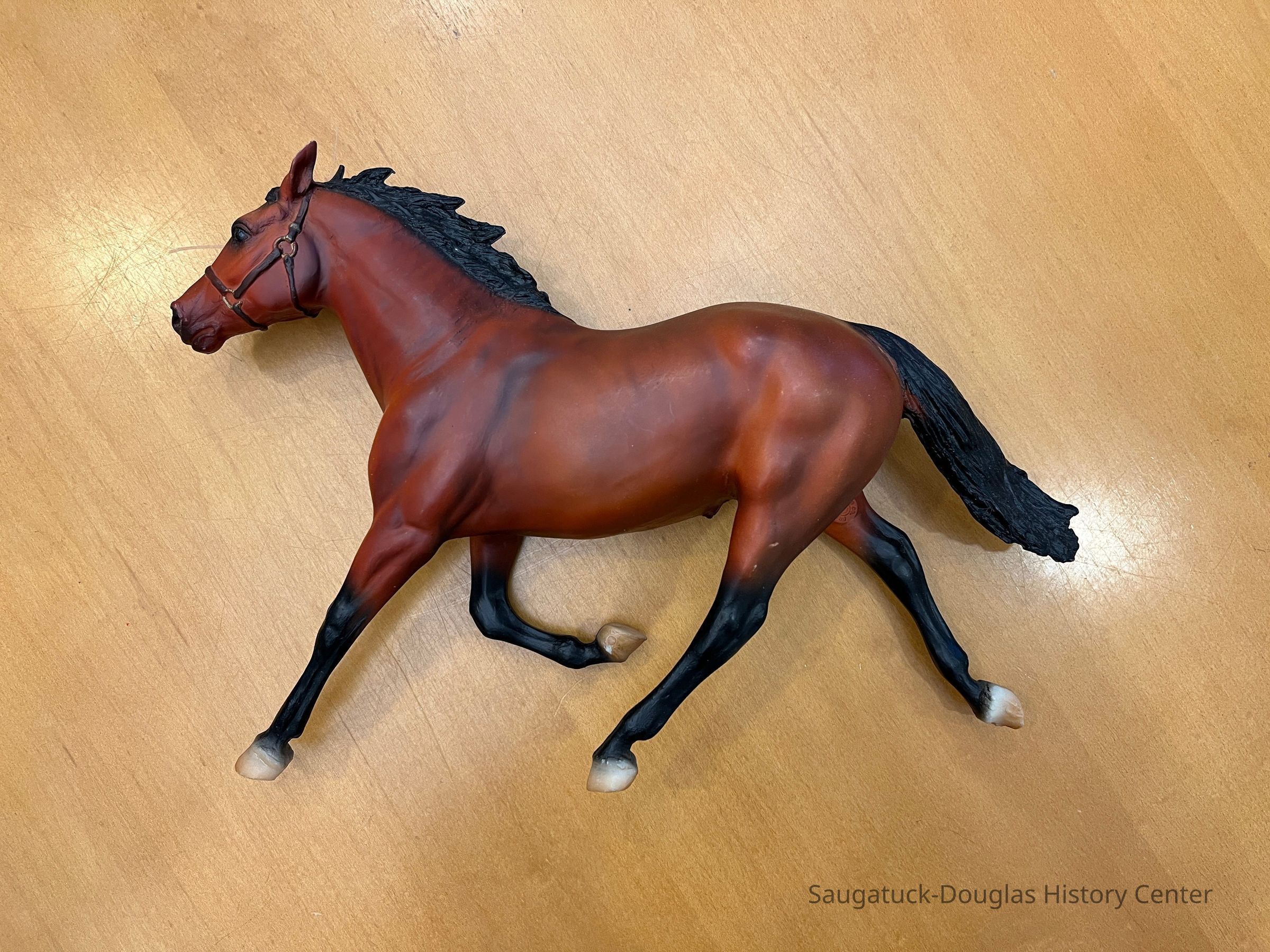 horse picture number 1