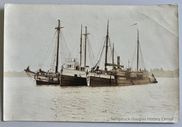          Steam barge and tow barges c1895 picture number 1
   