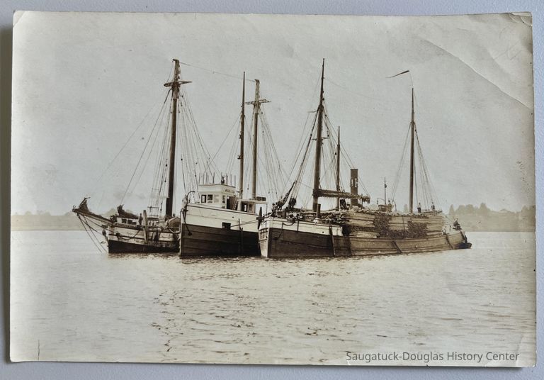          Steam barge and tow barges c1895 picture number 1
   