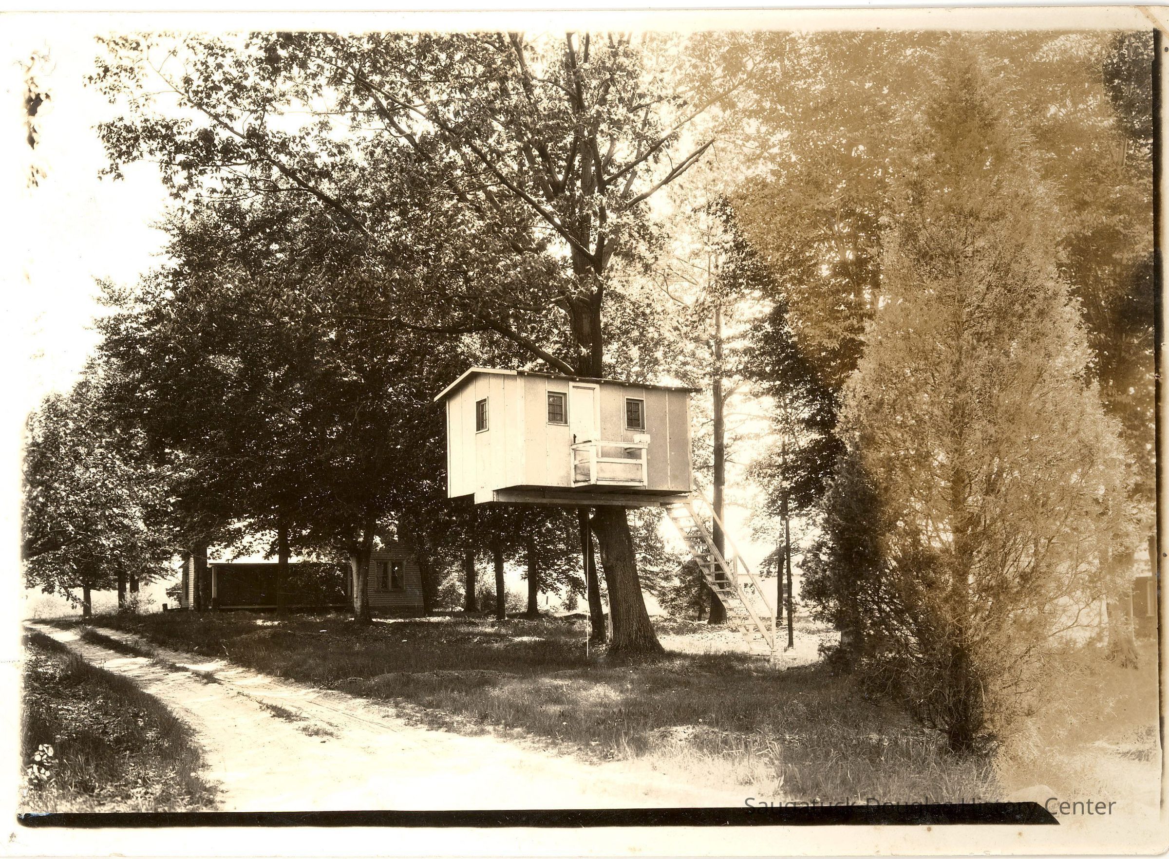 The honeymoon treehouse with Lake Michigan in the background - exact location a history mystery; Tree House.jpg 2.1M - Digital file from Jack Sheridan Drive 2021.72.02