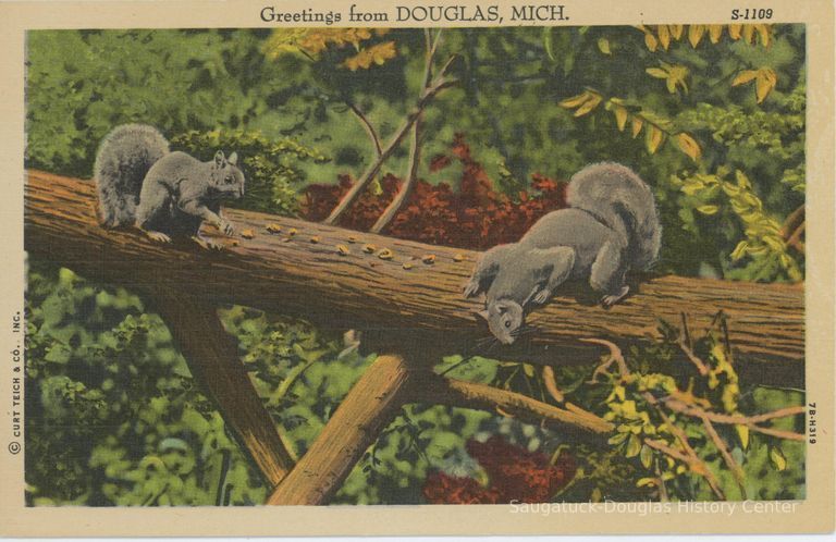          Greetings from Douglas, Mich. Postcard
   