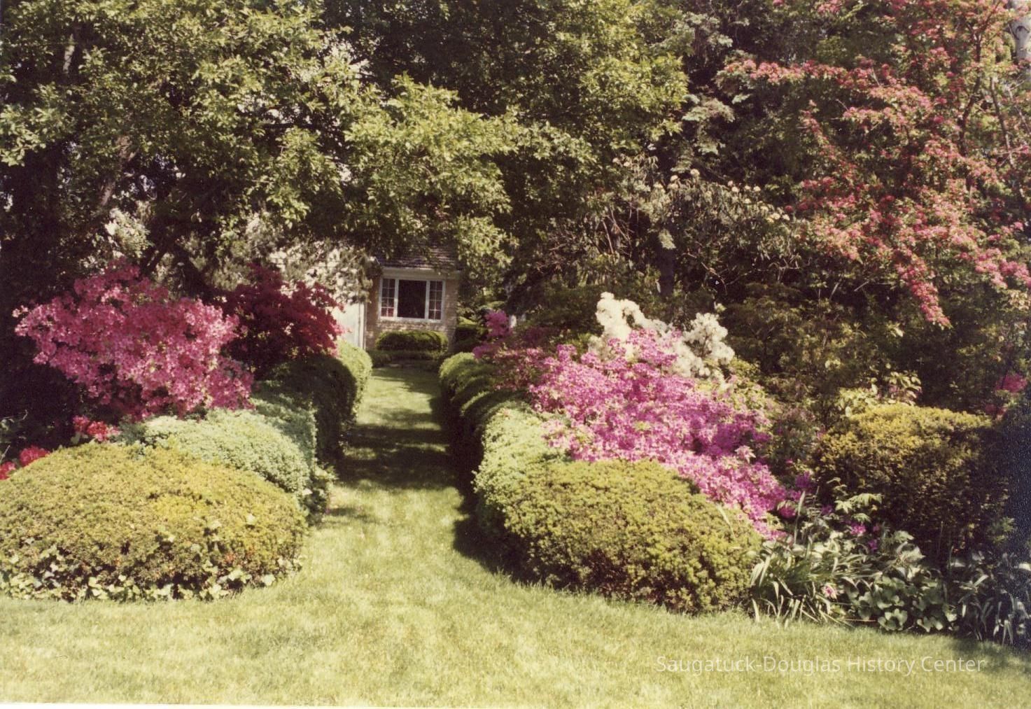          BrownAlbum-Scan10230.JPG 344KB; Sample image from Mann's 1977-82 brown-cover photo album
   