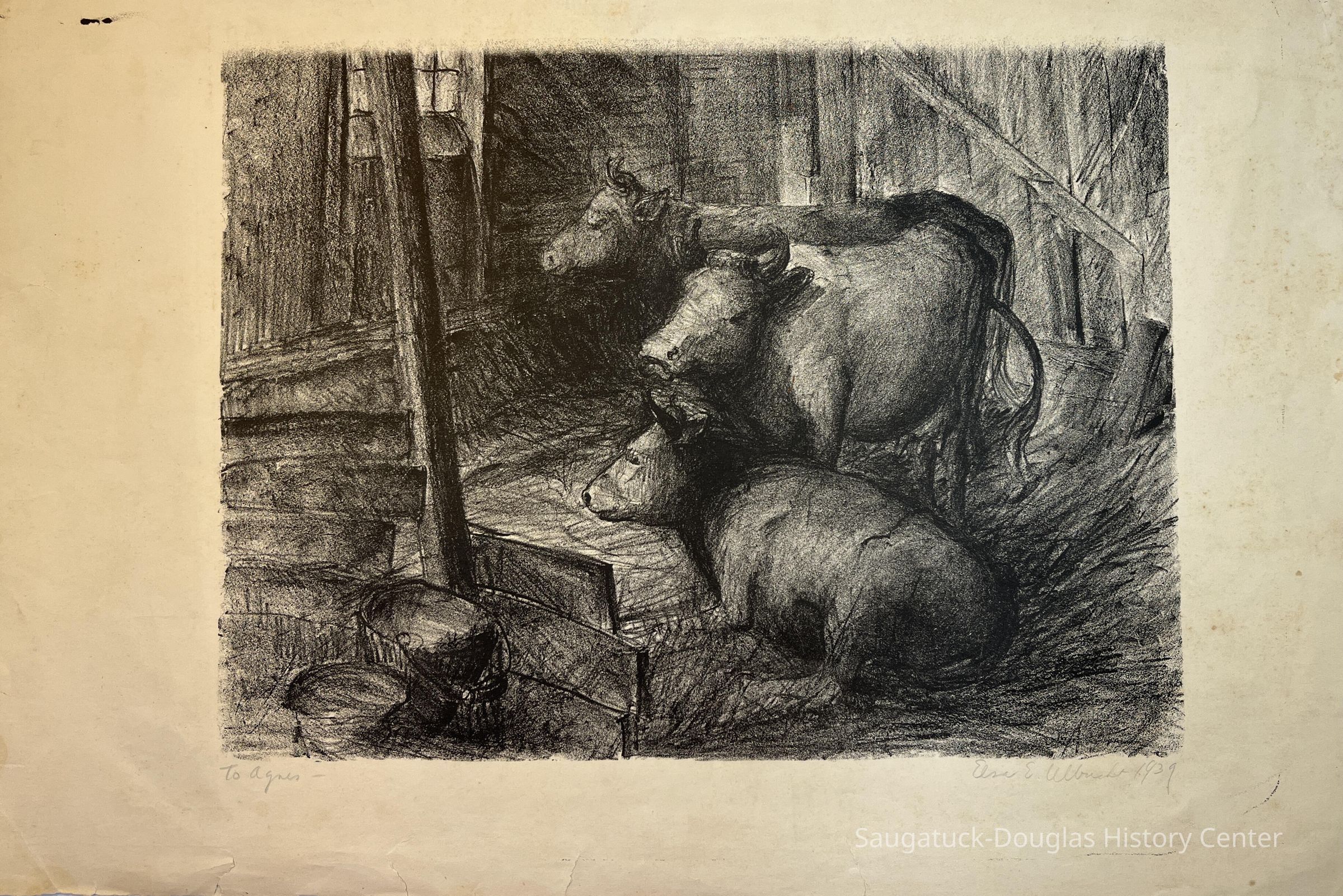 Cows Lithograph picture number 1