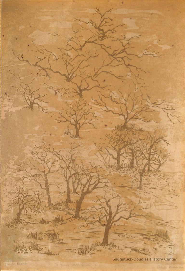          Print of early spring trees
   