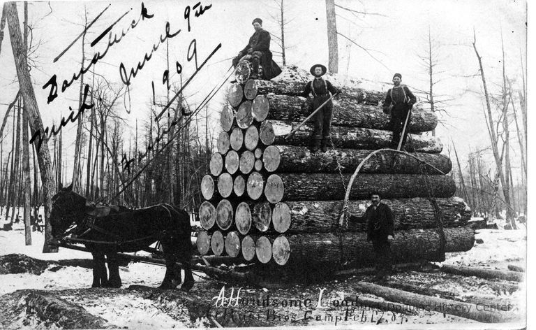          Load_of_logs_1889_a.jpg 757KB
   