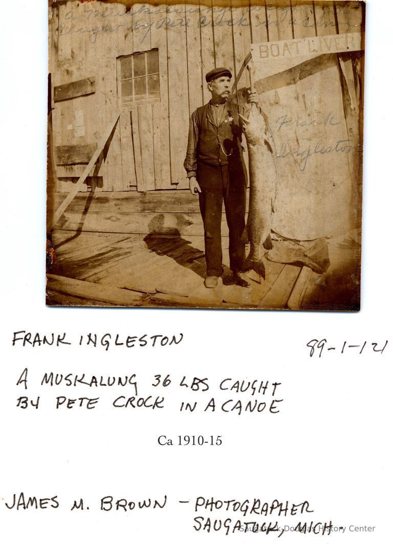          89-1-121 Frank Ingleston.jpg 3.9MB; Frank Ingleston a muskalung 36 lbs caught by Pete Crock in a canoe ca. 1910-1915, James M. Brown, Photographer, Saugatuck, Mich.
   