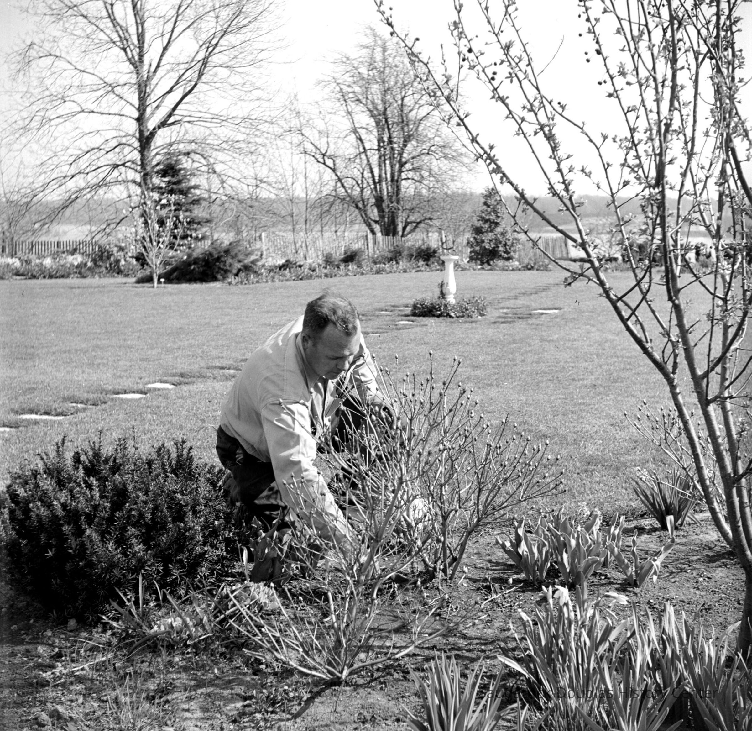          Charles Mann's Flower Basket picture number 1
   