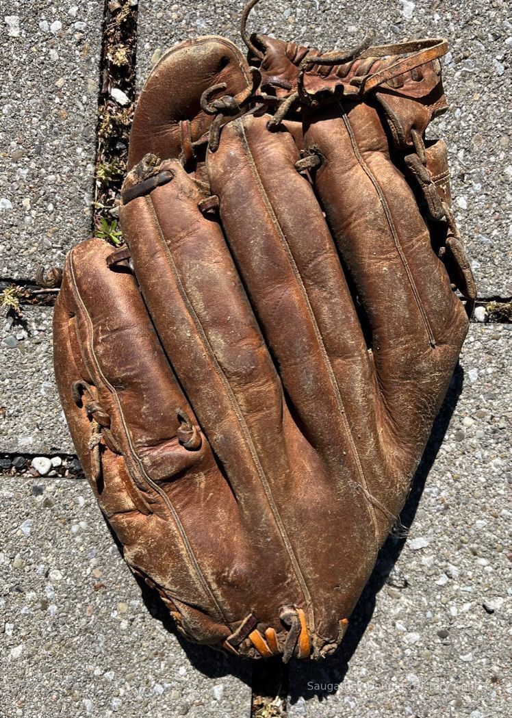          Baseball glove picture number 1
   