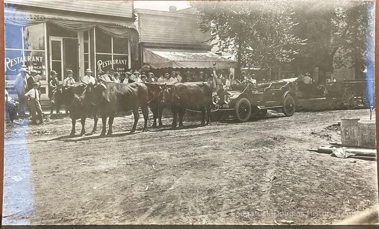          Oxen pulling car on Butler St. picture number 1
   