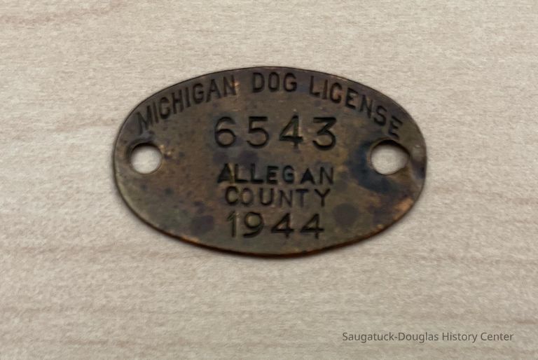          Dog License Tag 1944 picture number 1
   