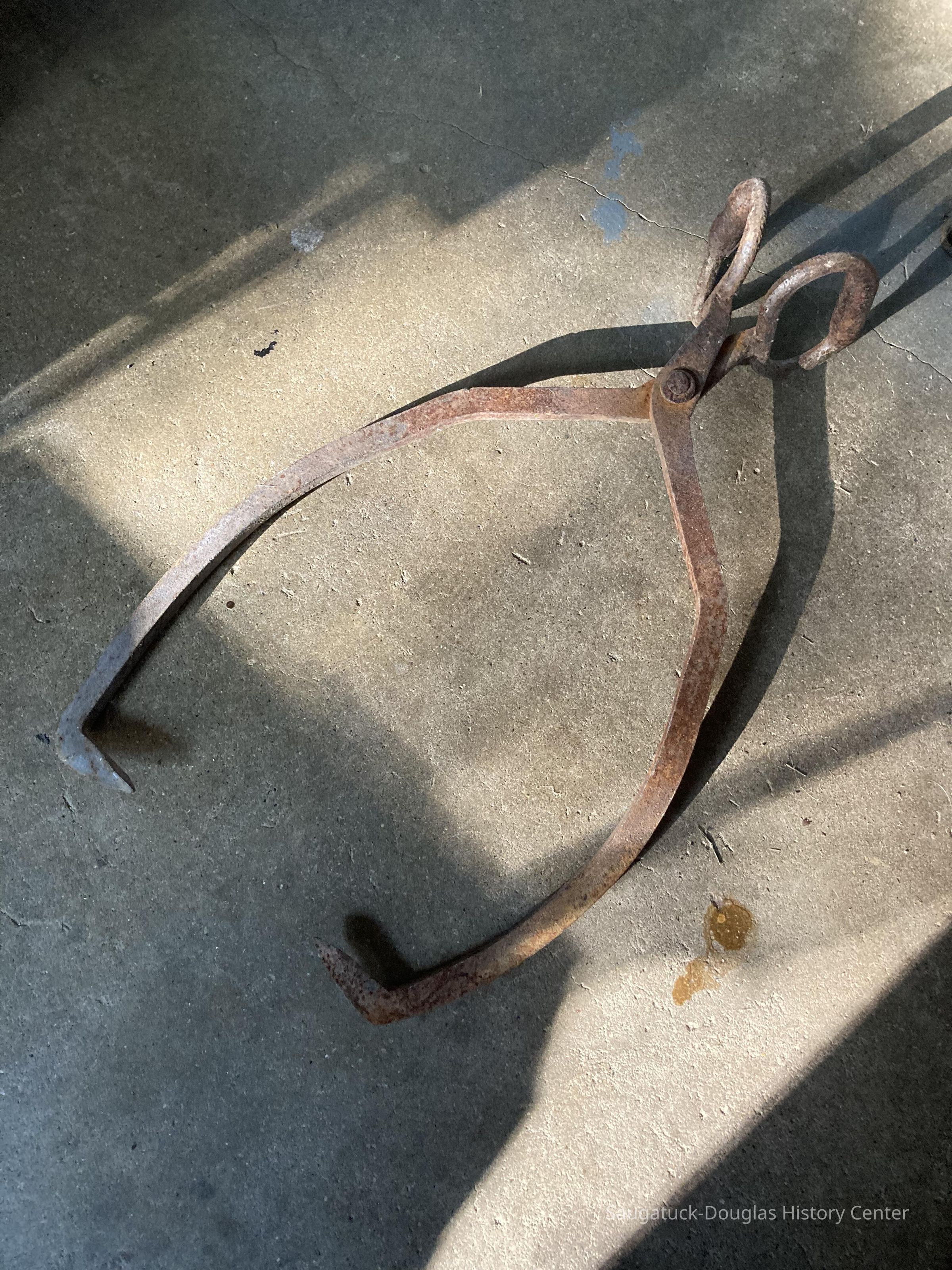 Ice tongs picture number 1