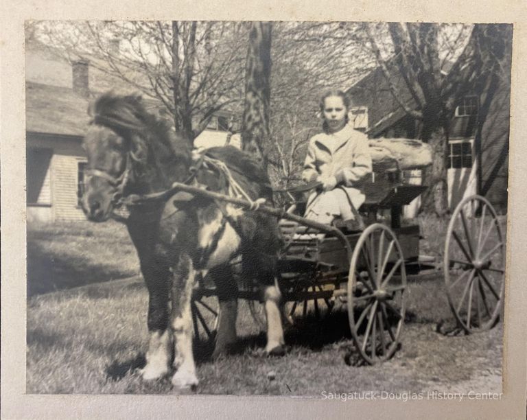          Photo of girl in pony cart
   