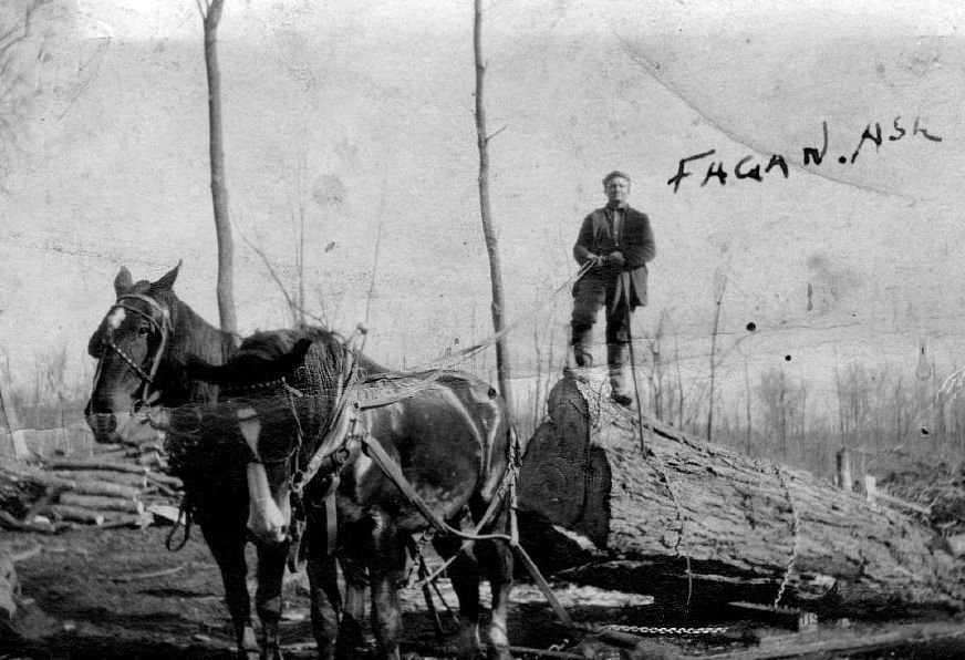          lumberFagan.jpg 273KB
   