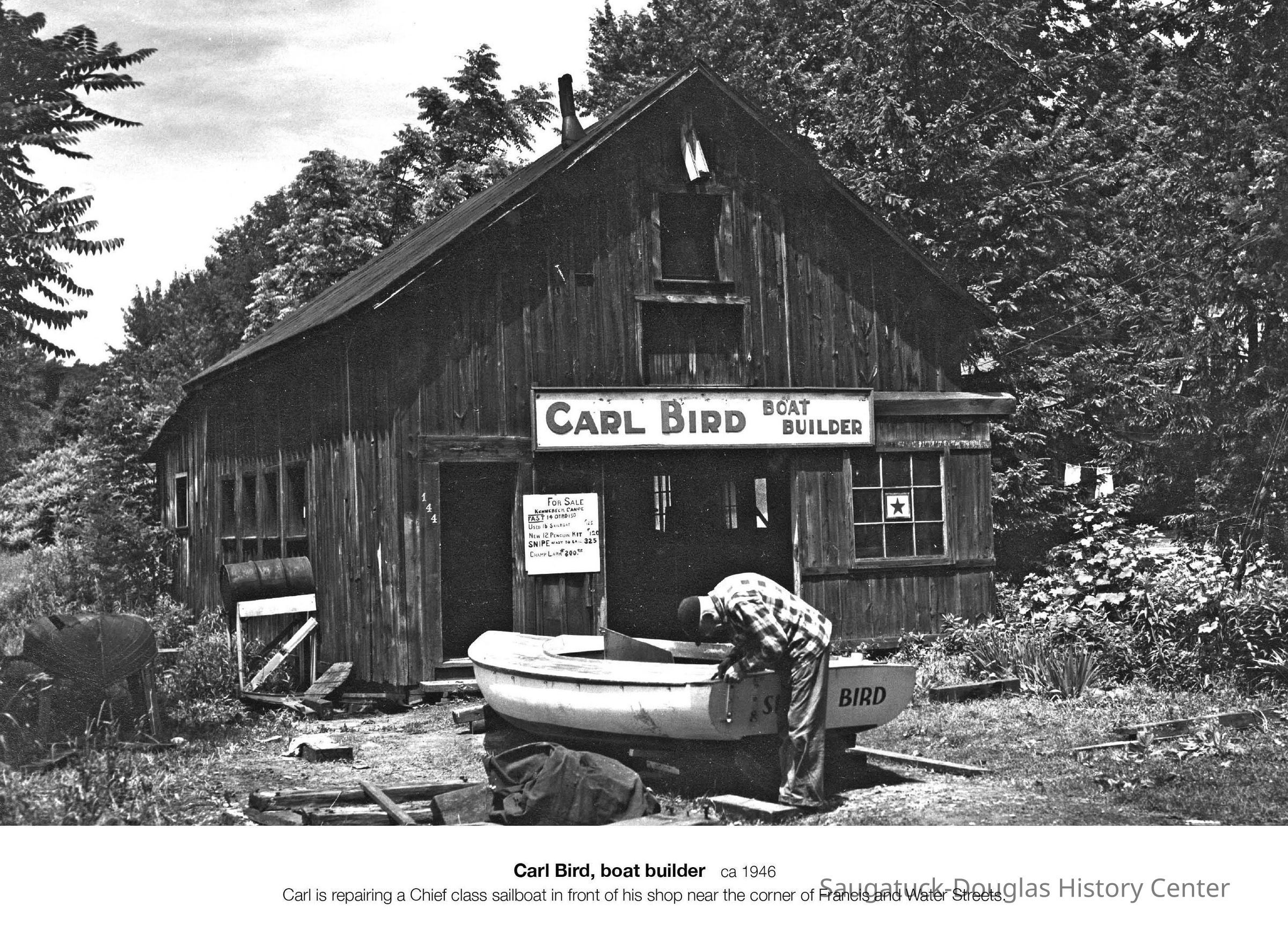          aa123CarlBird.jpg 2.1MB
   