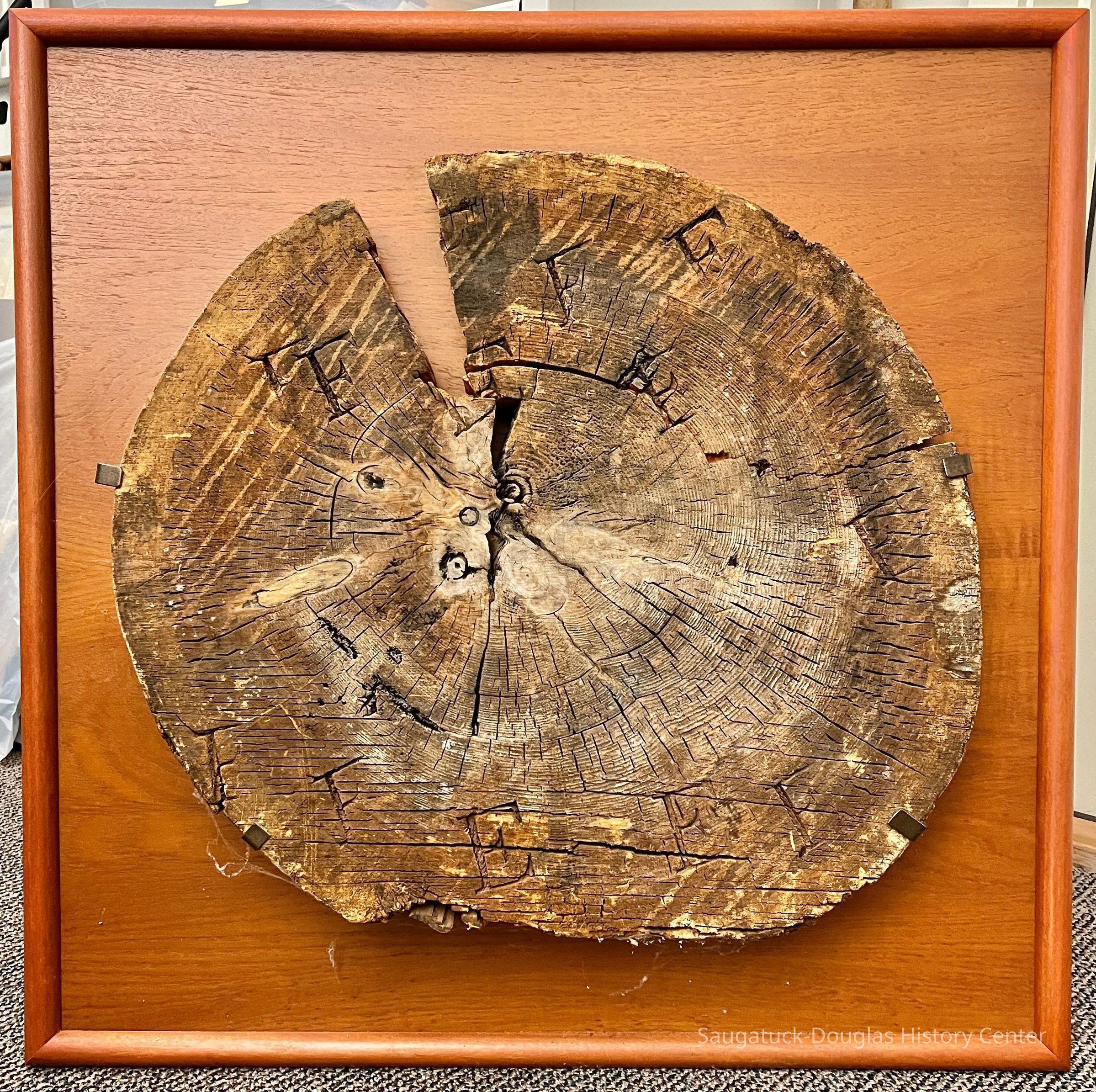Log dollar stamped E and F picture number 1