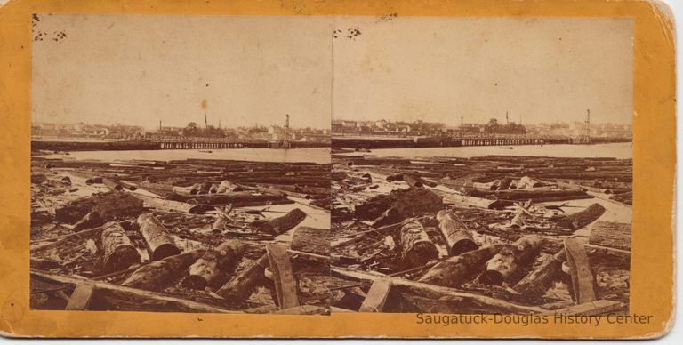          This photo ca 1871 shows such a raft of logs. In the background to the southeast is the new (and first) bridge to Douglas.; Bridge Douglas logs ca 1871.jpg - 8.7MB - Digital file from Jack Sheridan Drive 2021.72.02 stereographic image for stereoscope viewer
   