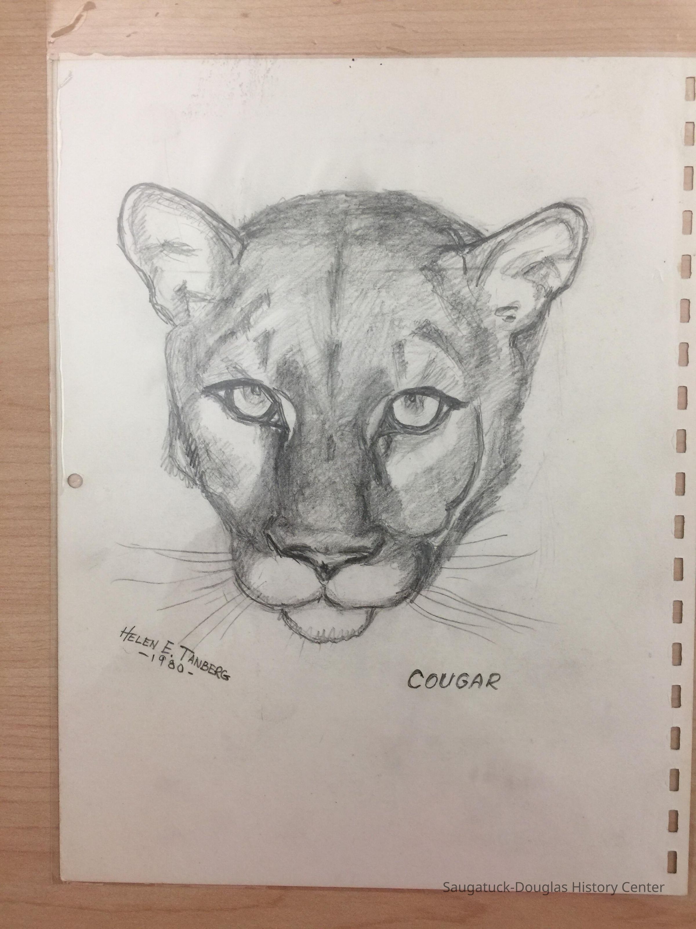 Tanberg pencil sketches picture number 1