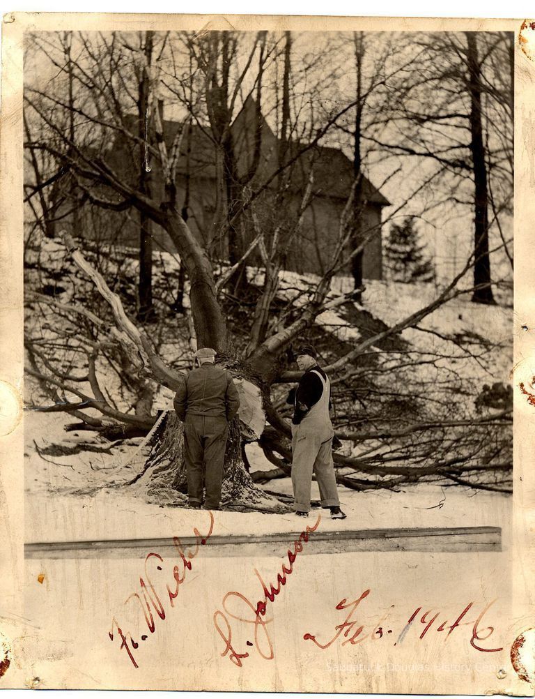          89-1-329_A_Tree_Removal_1946.jpg 1MB
   