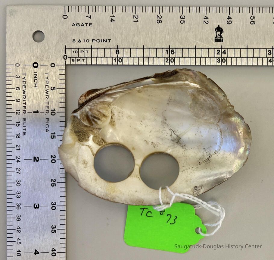 Clam shell drilled for button blanks picture number 1