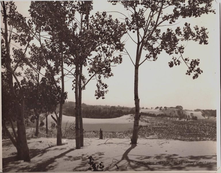          Goshorn lake Dune
   