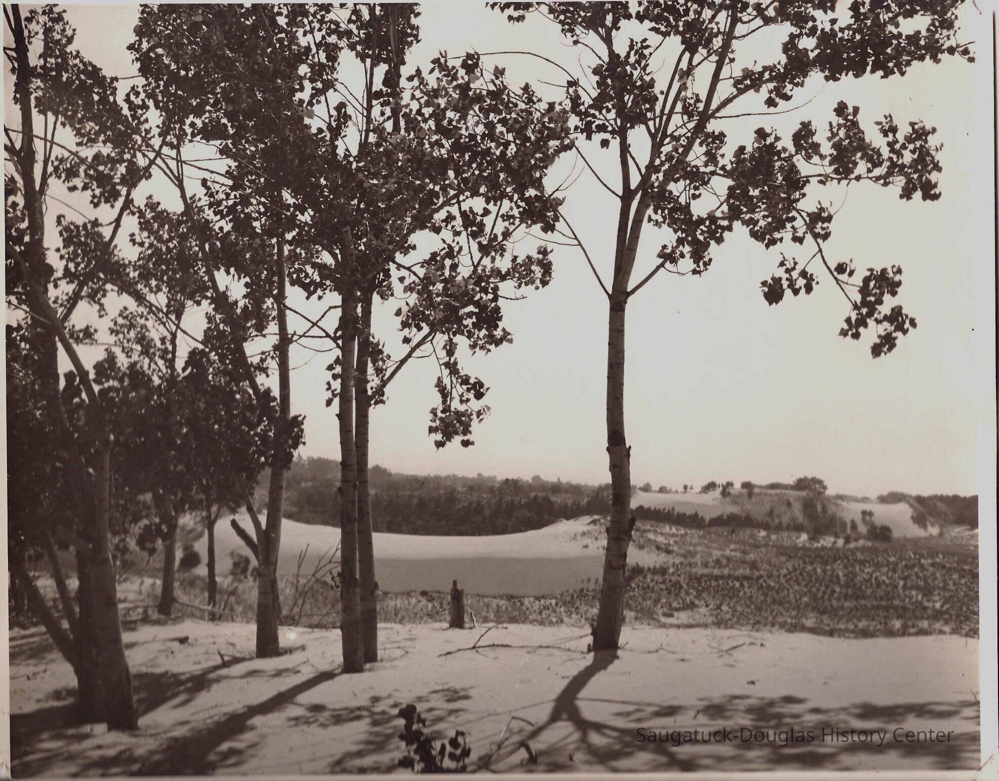 Goshorn lake Dune