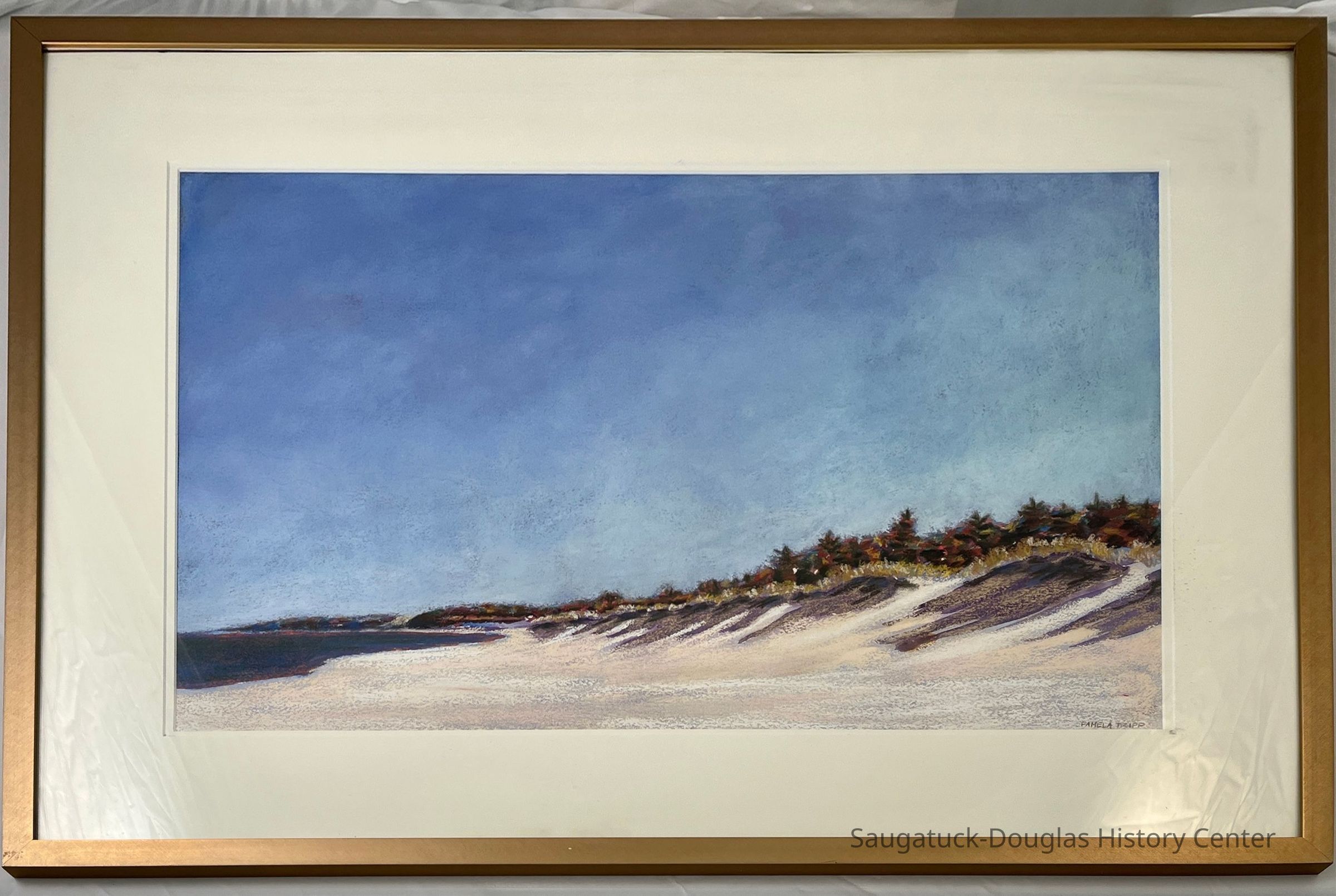          Dunes Along Shoreline picture number 1
   