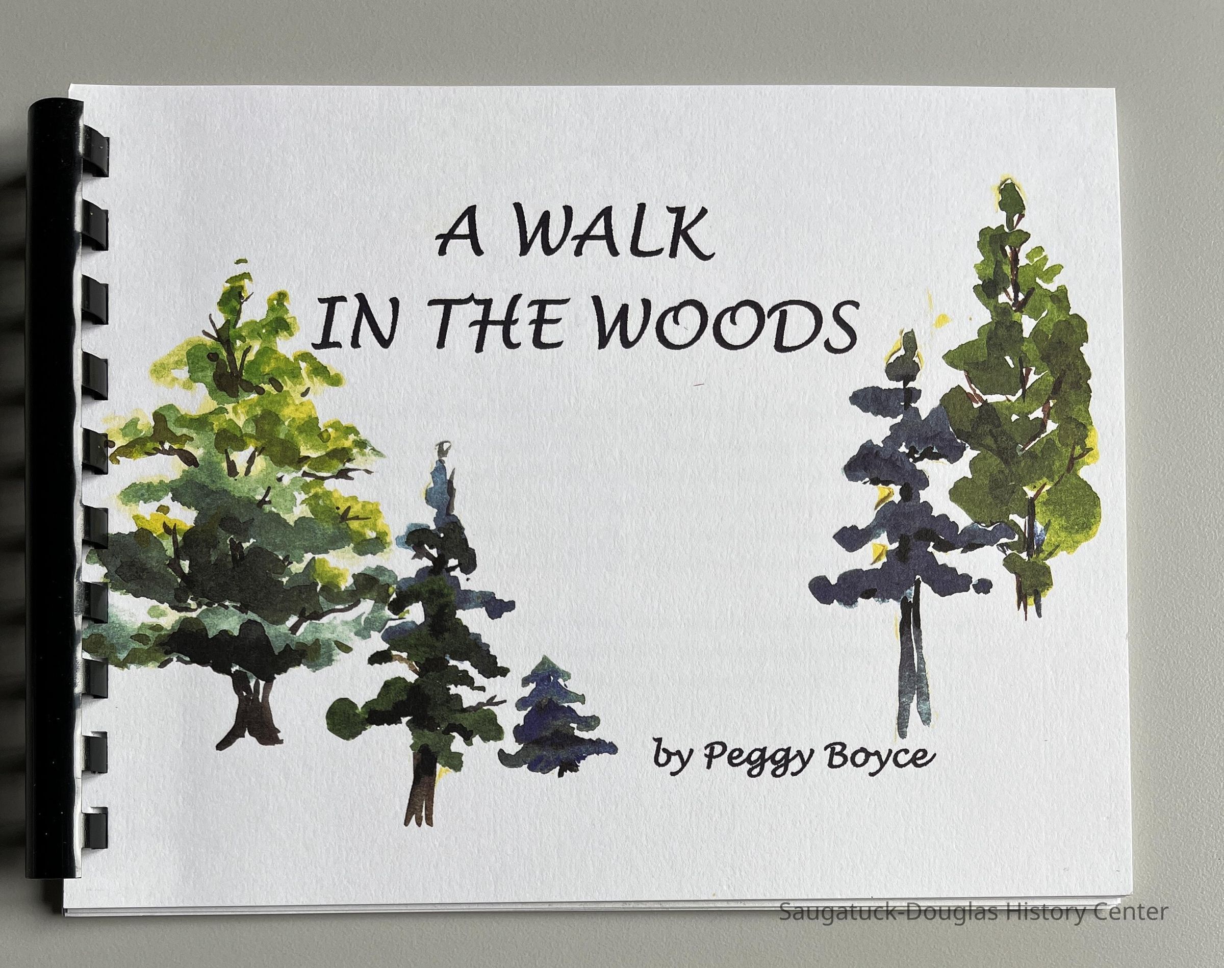 A Walk in the Woods picture number 1