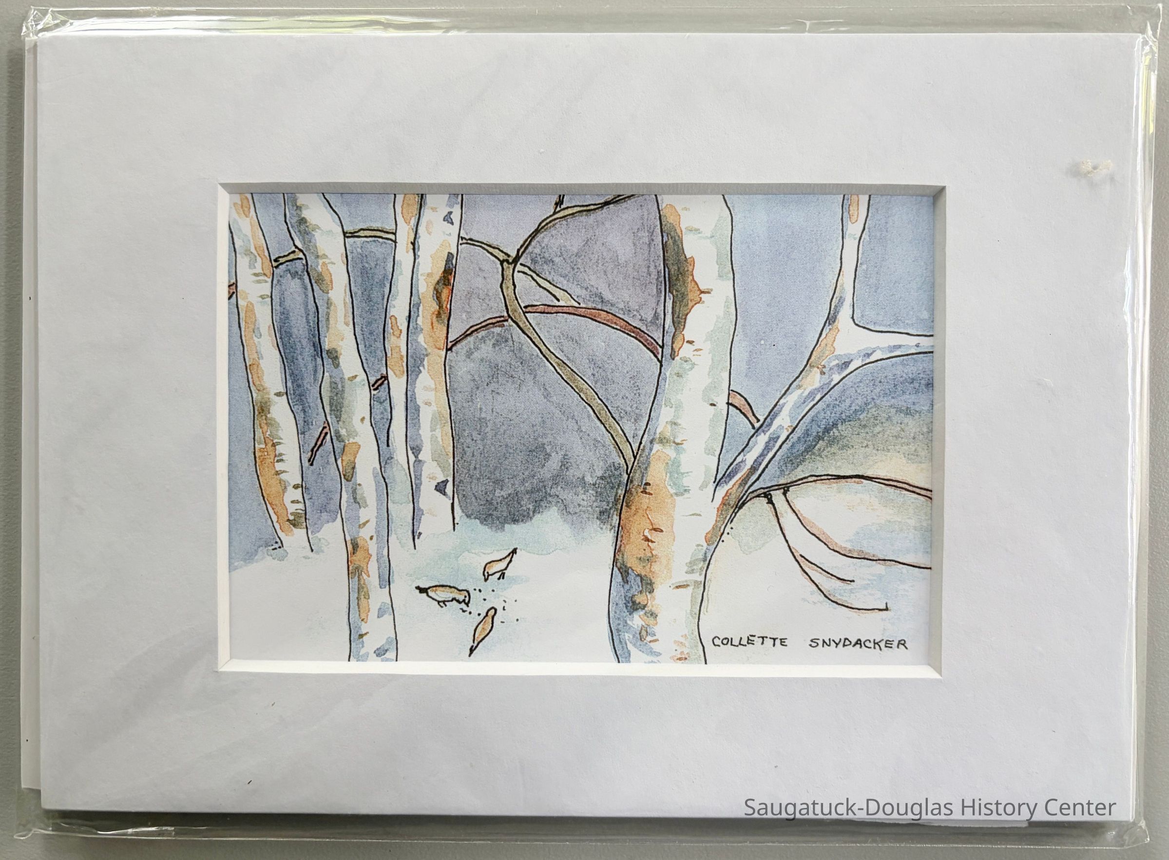          Winter Forest picture number 1
   