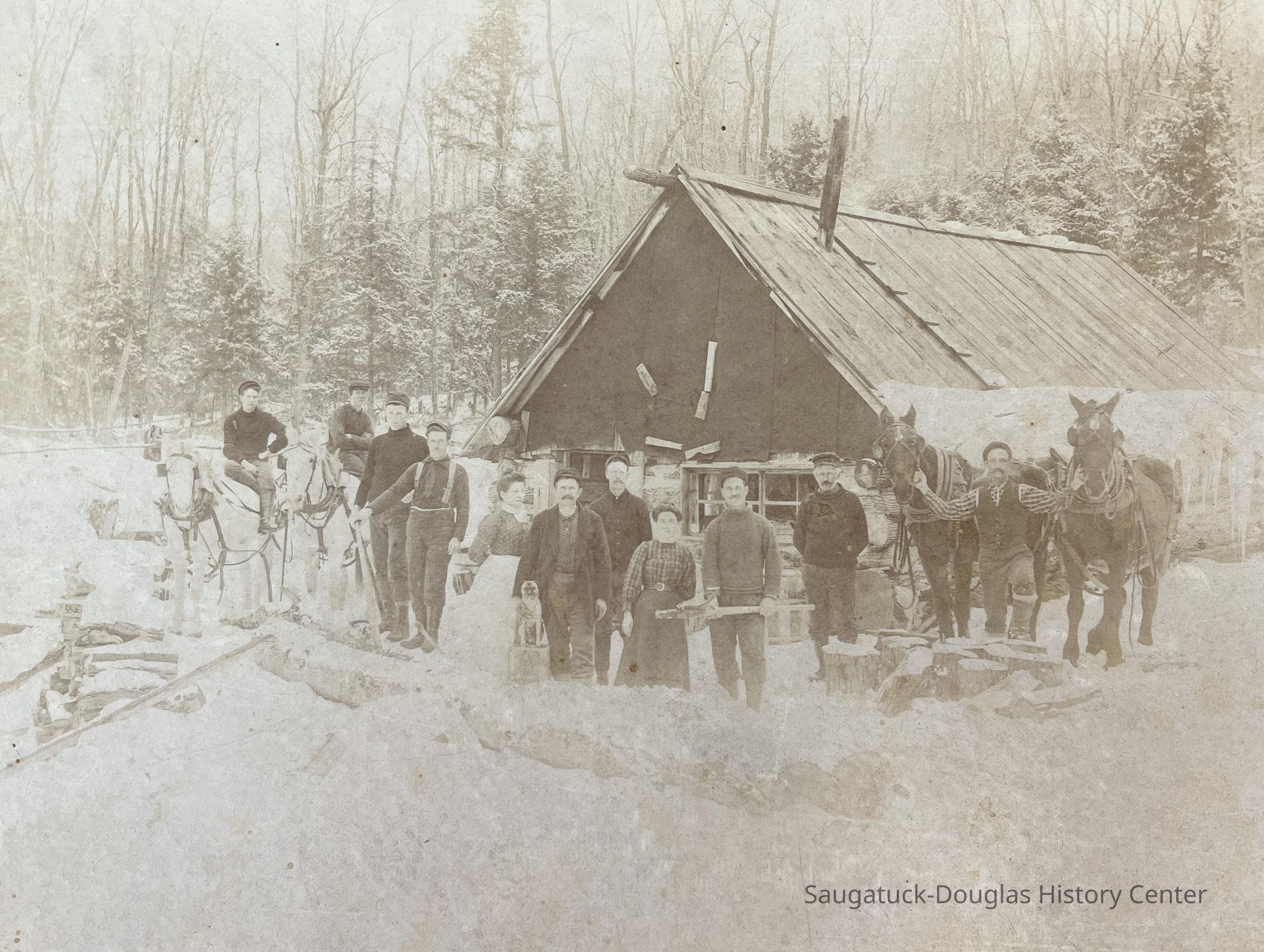 Lumbering in the North - Walloon Lake picture number 1