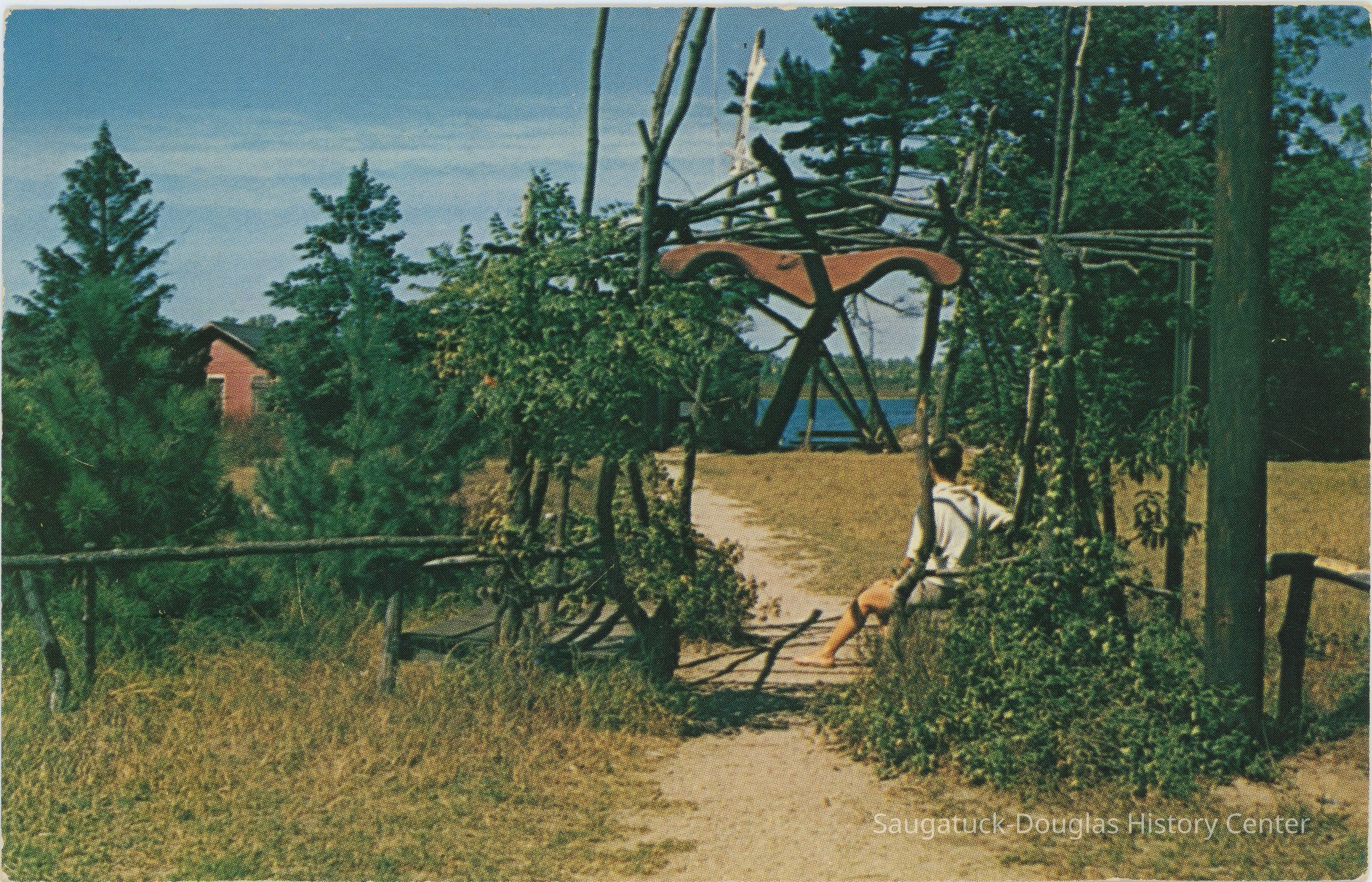 Ox-Bow Arbor Postcard