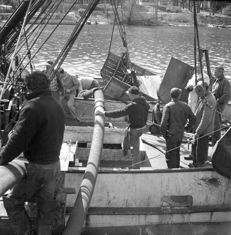 Capitol I pumping alewife from hold